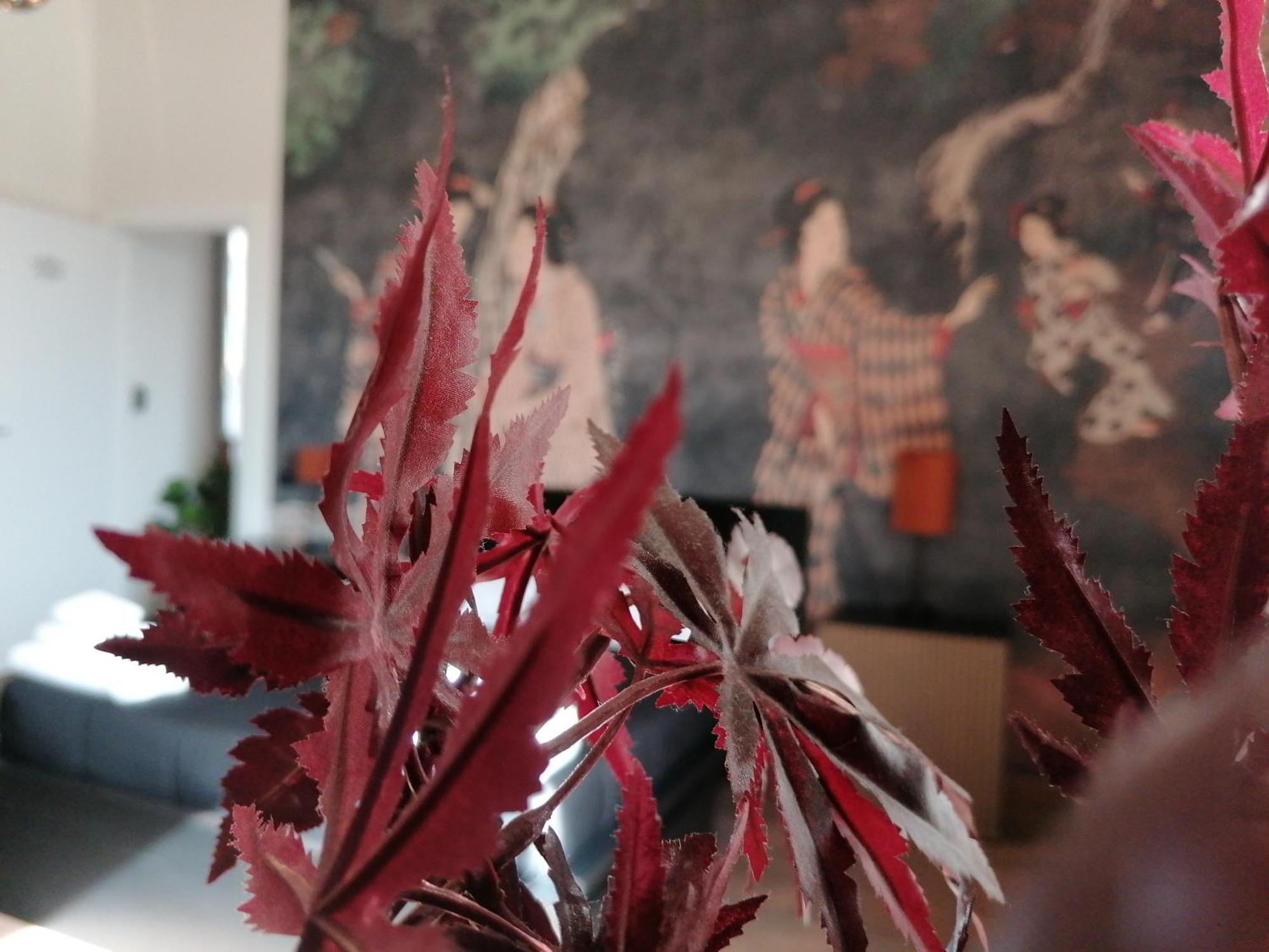 Le Boutique Luxury Rooms Diffused In Historic Center Fiumicino Eksteriør bilde